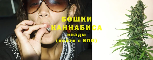 сатива Богородицк