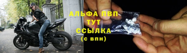 сатива Богородицк