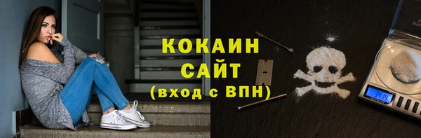 сатива Богородицк
