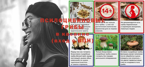 бутик Богданович
