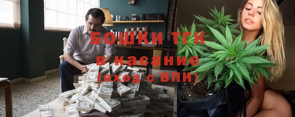 сатива Богородицк