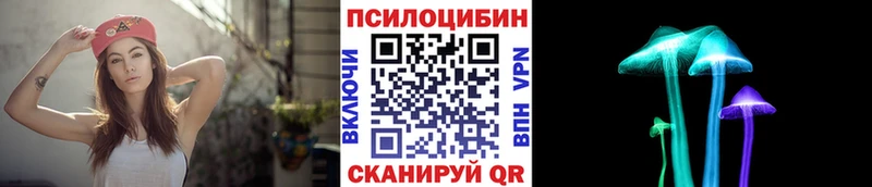 Галлюциногенные грибы Magic Shrooms  наркошоп  Дзержинск 